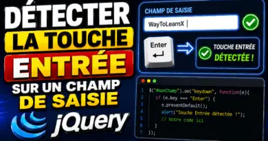 comment-detecter-la-touche-entree-sur-un-champ-de-saisie-en-jquery