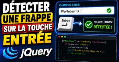 comment-detecter-une-frappe-sur-la-touche-entree-en-jquery