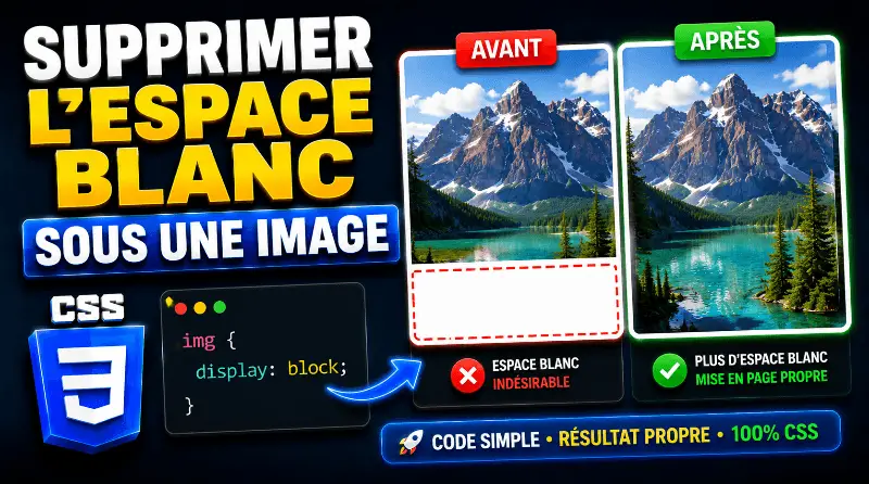 comment-supprimer-lespace-blanc-sous-une-image-avec-css