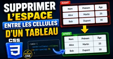 comment-supprimer-lespace-entre-les-cellules-dune-colonne-dun-tableau-en-css