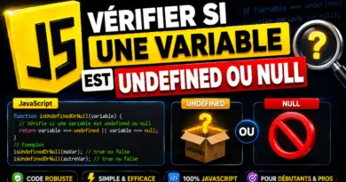 comment-verifier-si-une-variable-est-undefined-ou-null-en-javascript