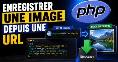enregistrer-une-image-depuis-une-url-en-php