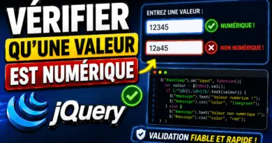 verifier-quune-valeur-est-numerique-en-jquery