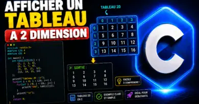 afficher-un-tableau-a-deux-dimension-en-c