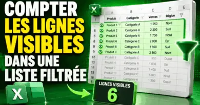 compter-les-lignes-visibles-dans-une-liste-filtree-excel