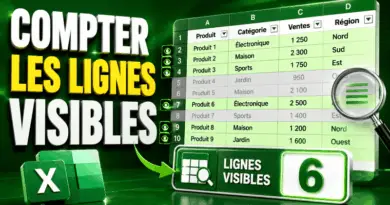 compter-les-lignes-visibles-excel