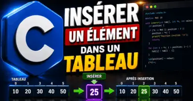 inserer-un-element-dans-un-tableau-en-c