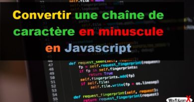 Convertir une chaîne de caractère en minuscule en Javascript