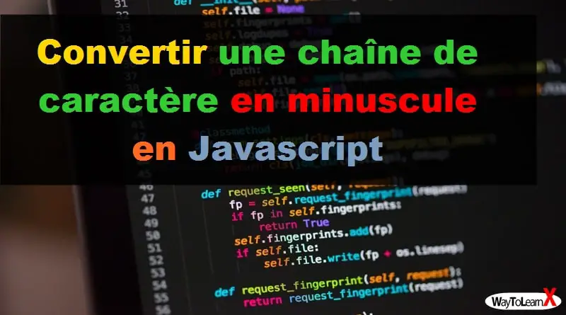 Convertir une chaîne de caractère en minuscule en Javascript