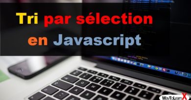 Tri par sélection en Javascript