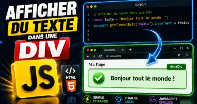 afficher-du-texte-dans-une-div-avec-javascript