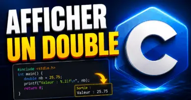afficher-un-double-en-c