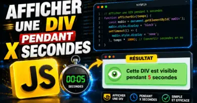 afficher-une-div-pendant-x-secondes-en-javascript