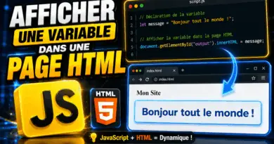 afficher-une-variable-javascript-dans-une-page-html