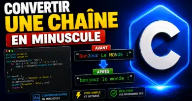 convertir-une-chaine-de-caractere-en-minuscule-en-c