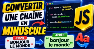 convertir-une-chaine-de-caractere-en-minuscule-en-javascript