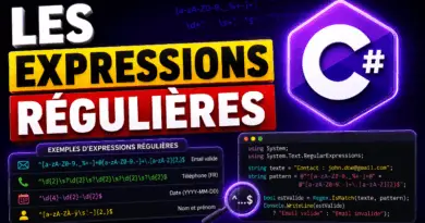 les-expressions-regulieres-en-csharp