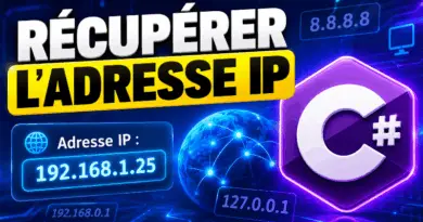recuperer-ladresse-ip-en-csharp