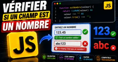 verifier-si-un-champ-est-un-nombre-en-javascript