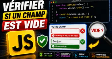 verifier-si-un-champ-est-vide-en-javascript