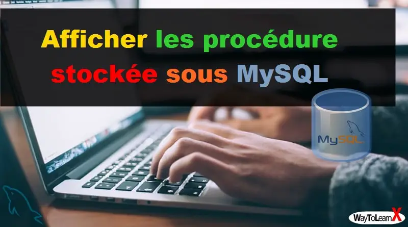Afficher les procédures stockées - MySQL