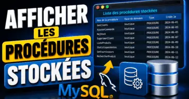 afficher-les-procedures-stockees-mysql
