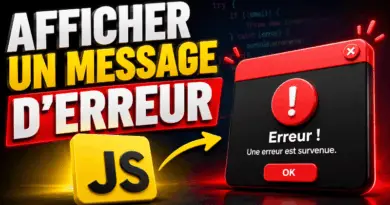 afficher-un-message-derreur-a-cote-dun-input-en-javascript