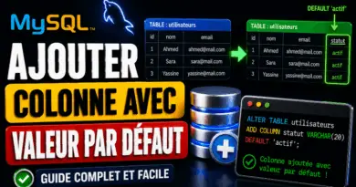 ajouter-une-colonne-avec-une-valeur-par-defaut