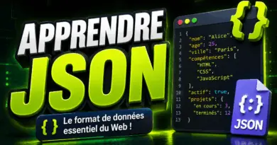 apprendre-json
