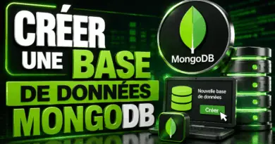 creer-une-base-de-donnees-mongodb