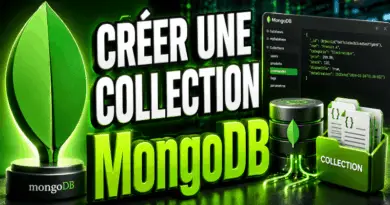 creer-une-collection-mongodb