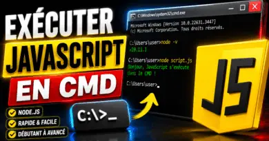 executer-javascript-en-ligne-de-commande