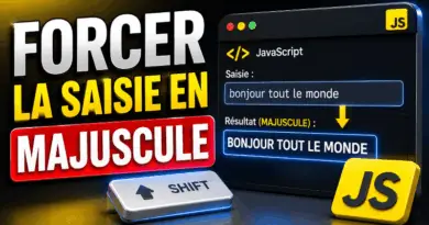 forcer-la-saisie-en-majuscule-dans-une-input-avec-javascript