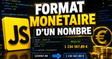 format-monetaire-dun-nombre-en-javascript