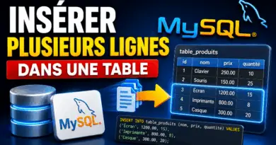 inserer-plusieurs-lignes-dans-une-table-avec-mysql