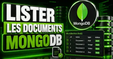 lister-les-documents-dans-mongodb