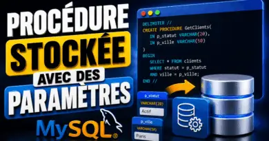 procedure-stockee-avec-des-parametres-mysql