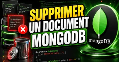 supprimer-un-document-dans-mongodb