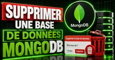 supprimer-une-base-de-donnees-mongodb