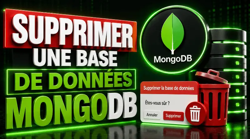 supprimer-une-base-de-donnees-mongodb