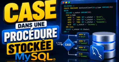 instruction-case-dans-une-procedure-stockee-avec-mysql