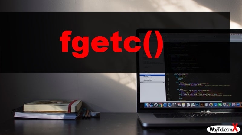 PHP fgetc