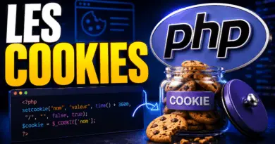 les-cookies-en-php