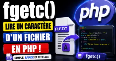 php-fgetc