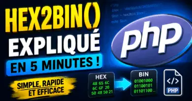 php-hex2bin