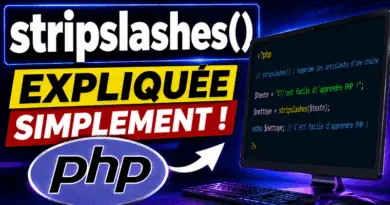 php-stripslashes