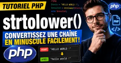 php-strtolower