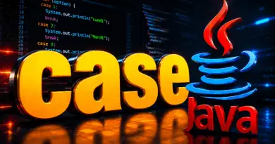 java-case