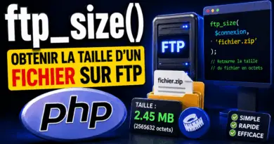php-ftp_size