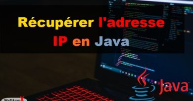 Récupérer l'adresse IP en Java